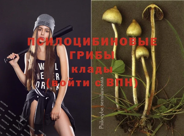 тгк Ладушкин
