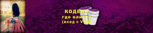 хмурый Лиски