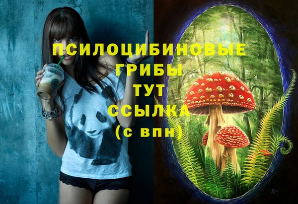 хмурый Лиски