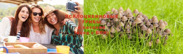 прущая мука Липки