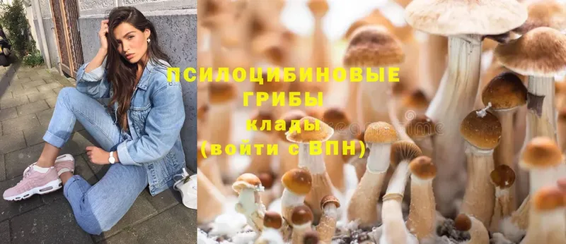 Галлюциногенные грибы Magic Shrooms  дарнет шоп  Елец 