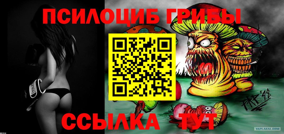 Псилоцибиновые грибы Psilocybine cubensis Елец