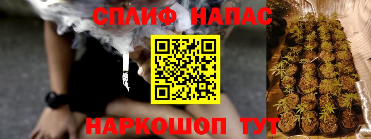 Канабис гибрид  Каннабис OG Kush  Елец  Марихуана конопля 